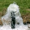alphaforage.com
